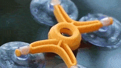 ezgif.com-optimize (11)